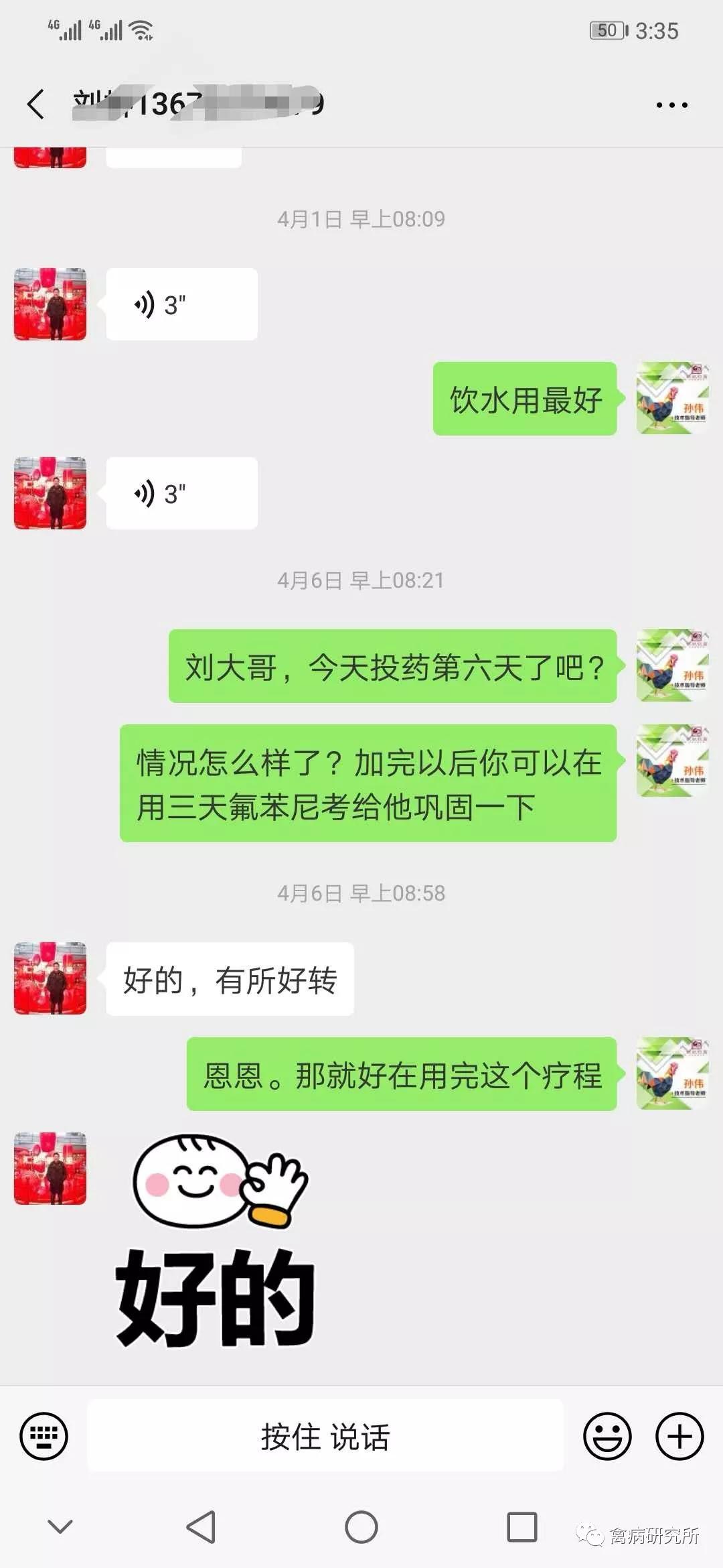 鸡关节肿痛站不起来,鸡关节着地站不稳