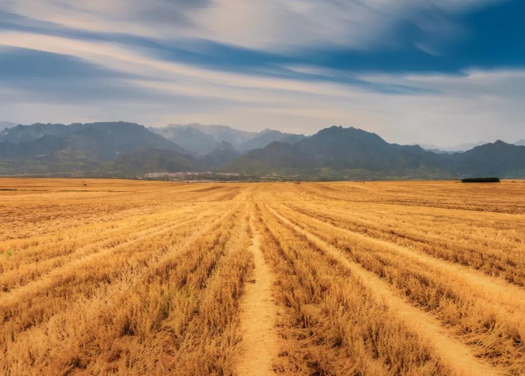 什么是形而上学,什么是西安旅游