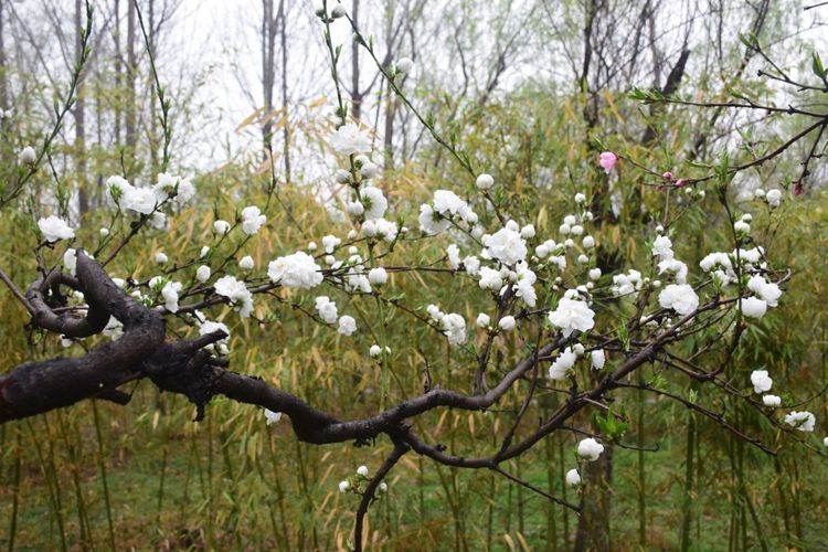 陕西印象装饰有限公司,陕西印象传媒怎么样