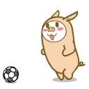 今年体育中考的考试项目有变化吗？评分标准有调整吗？肇庆市2020年初中毕业生升学​体育考试十问十答