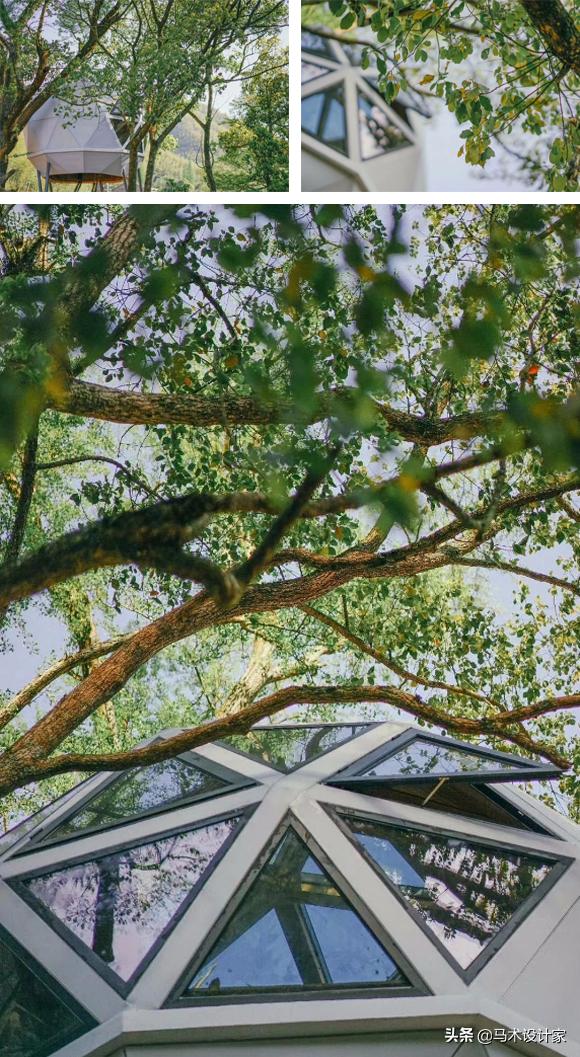 森迪部落树屋酒店,浙江树屋酒店