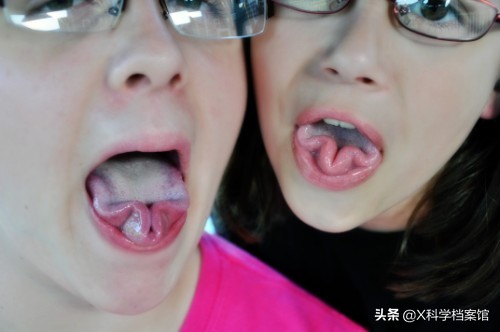 让你大开眼界的生物视频,大开眼界的新物种