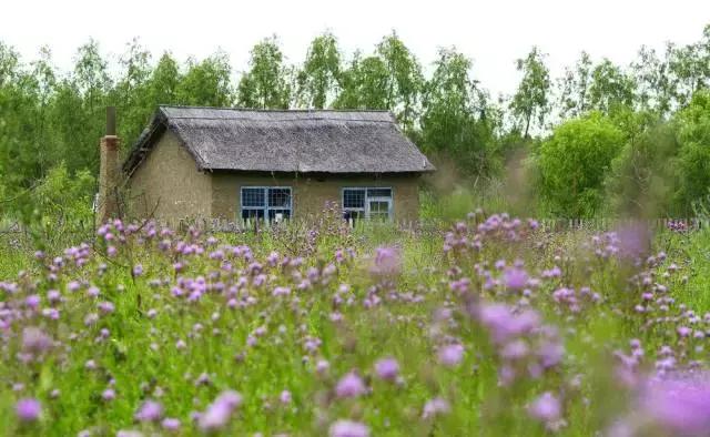 城市人的生活vs农村人的生活,农村人的田园生活是充实的