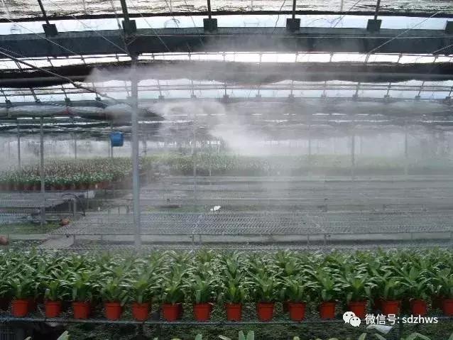 夏天为什么你的温室大棚不能用，而别人家的温室大棚里凉爽宜人