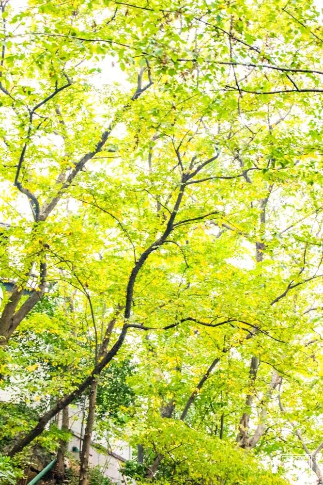 燕子矶公园值得去吗,燕子矶公园的介绍