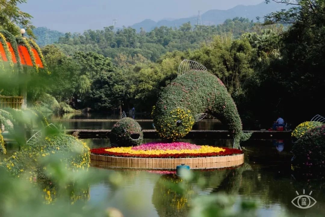最美湖泊小众风景,最美湖泊西湖