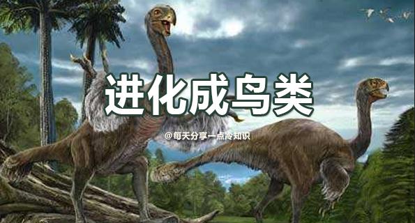 恐龙的11个惊人真相,关于恐龙4个令人难以置信的发现