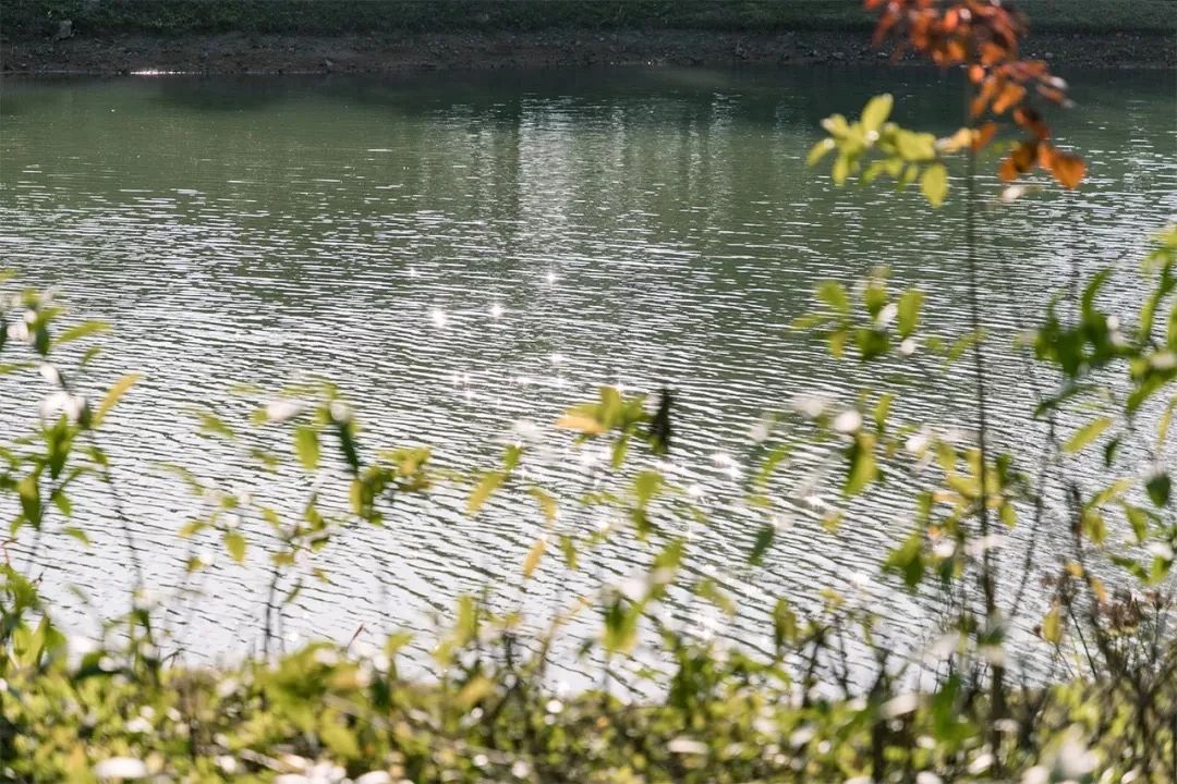 天下最美湖泊西湖,比西湖更美的湖泊