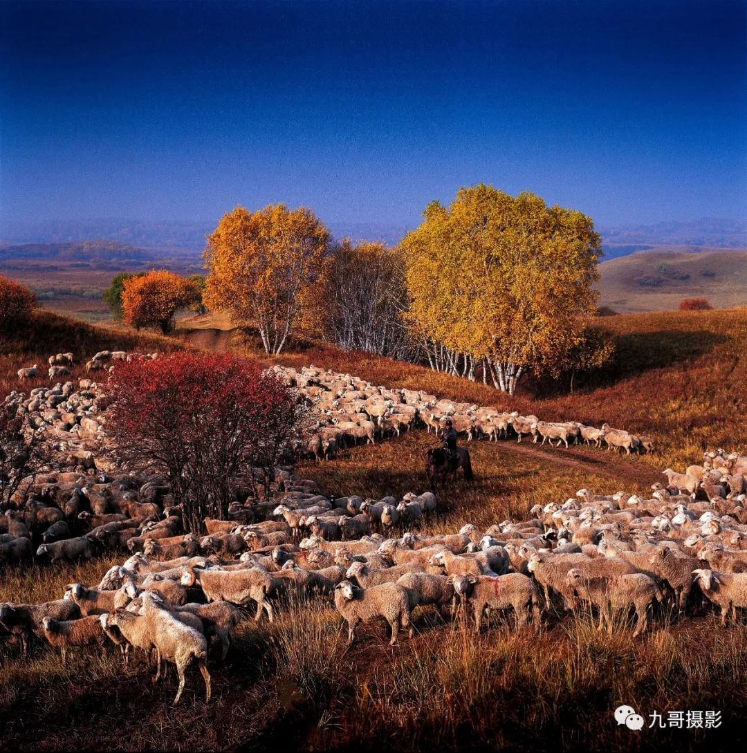 大美坝上草原全景,大美坝上风光系列之一