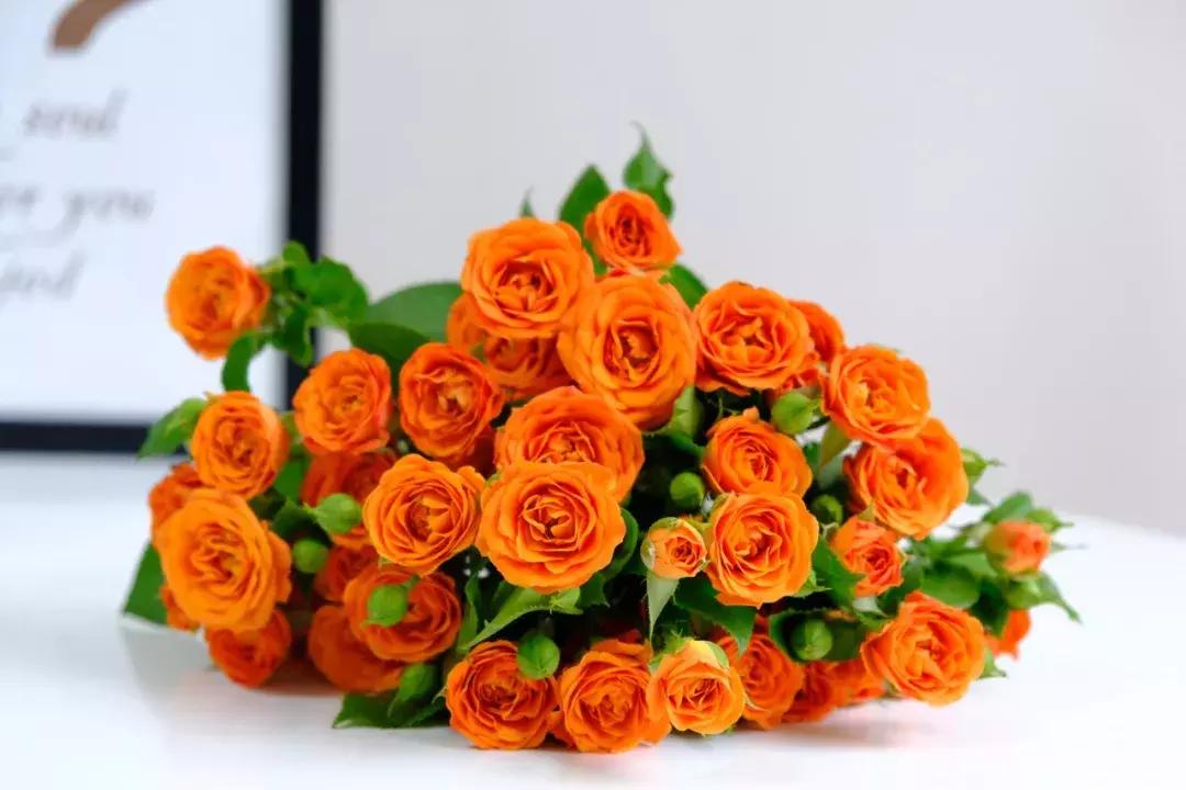 那些年你爱过的小说女配,那些年你爱过的老歌