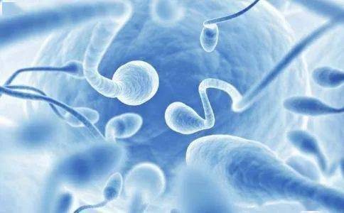 怎么判断是否精子液化,精子不完全液化会导致不育吗