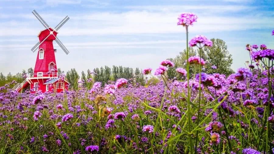 河北最美表白圣地,河北最值得表白的地方