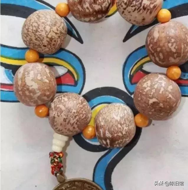 最值得玩的菩提子,真正的菩提子