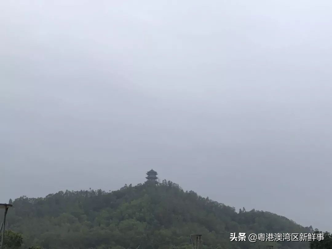 宀佹湀闈欏ソ澶氬Э澶氬僵,鑺辨牱骞村埆鏍峰煄娲嬫埧