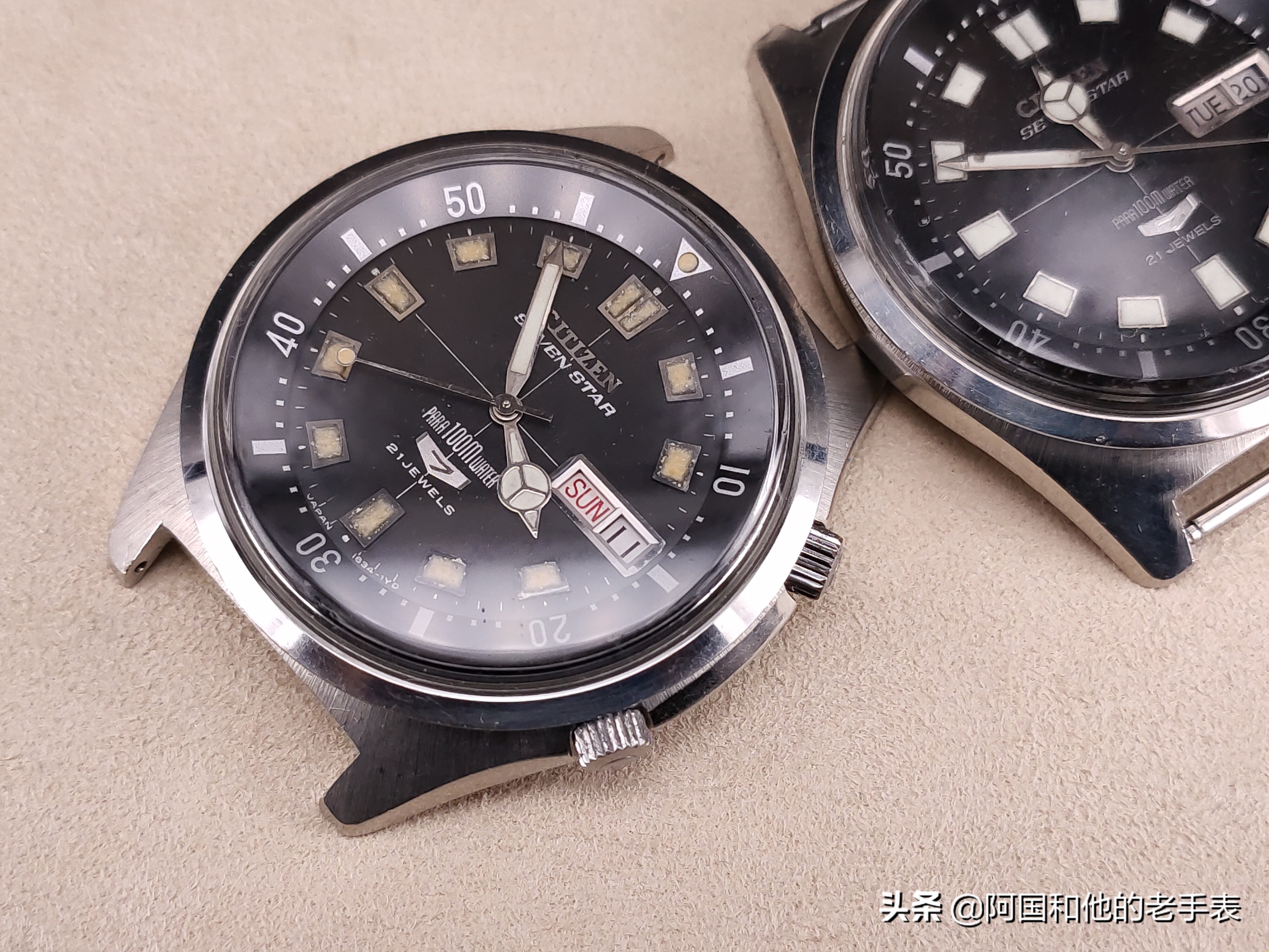 50年后的相见两只西铁城水鬼