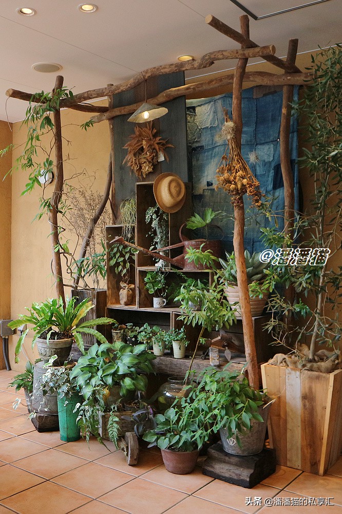 日本国宝级甜品大师小山进是谁,日本烘焙大师小山进