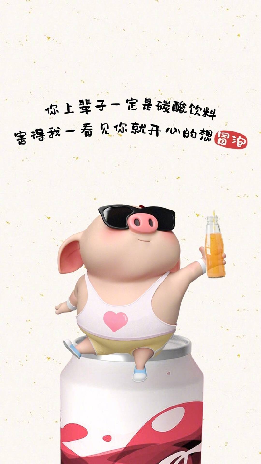 2019超可爱猪猪高清手机壁纸,100张高清无水印超萌猪猪手机壁纸