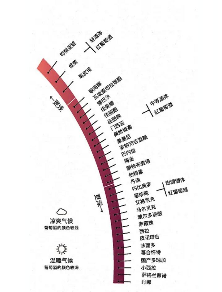 这里一定有你没见过的酒单（上）