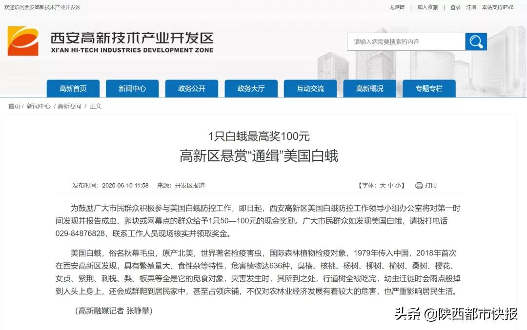 警惕！陕西多地被列入“美国白蛾疫区”！这类违法举报，最高奖励1万元