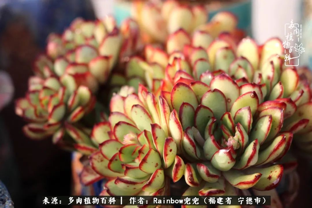 岁月无波澜余生不悲欢是啥意思,愿你岁月无波澜敬我余生无悲欢