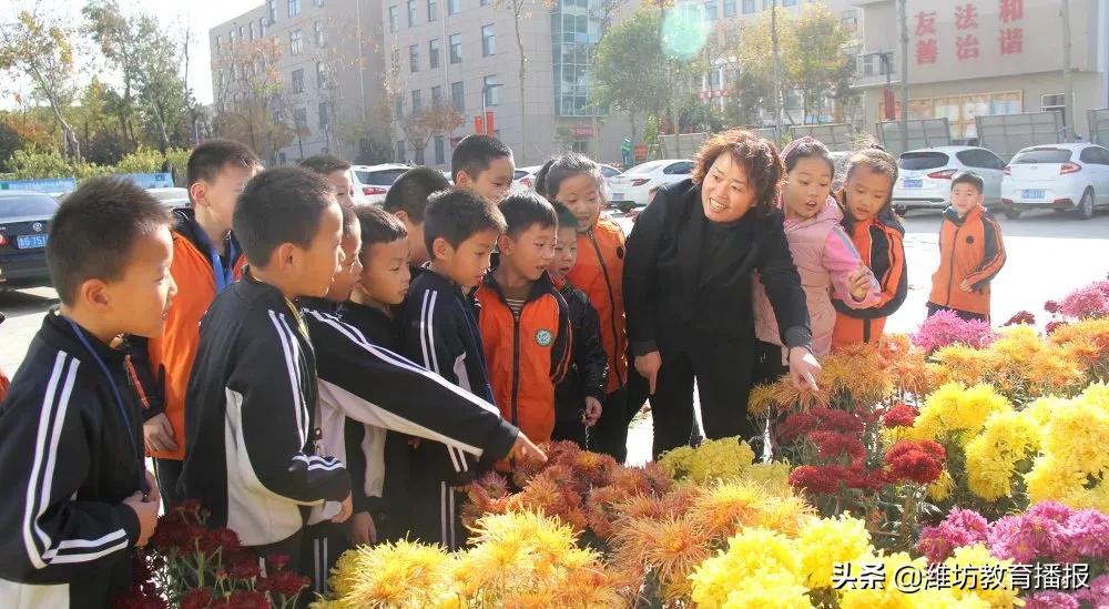 昌乐齐都实验学校,昌乐齐都实验学校2020级