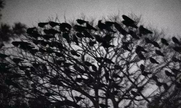 摄影瓶颈期怎么打破,怎样度过摄影瓶颈期