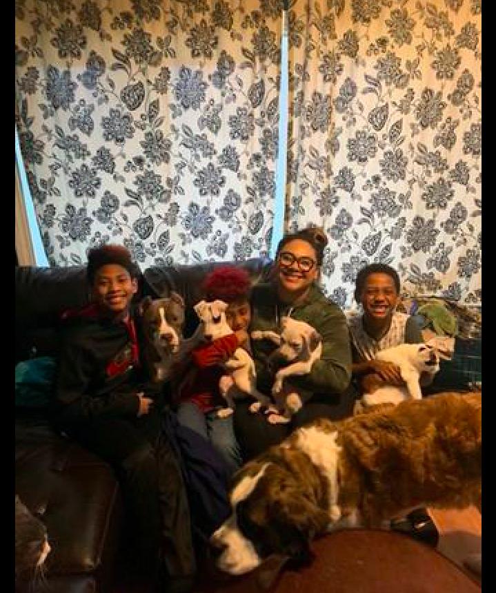 狗狗长太快前腿突然瘸了,狗狗天生少一只腿