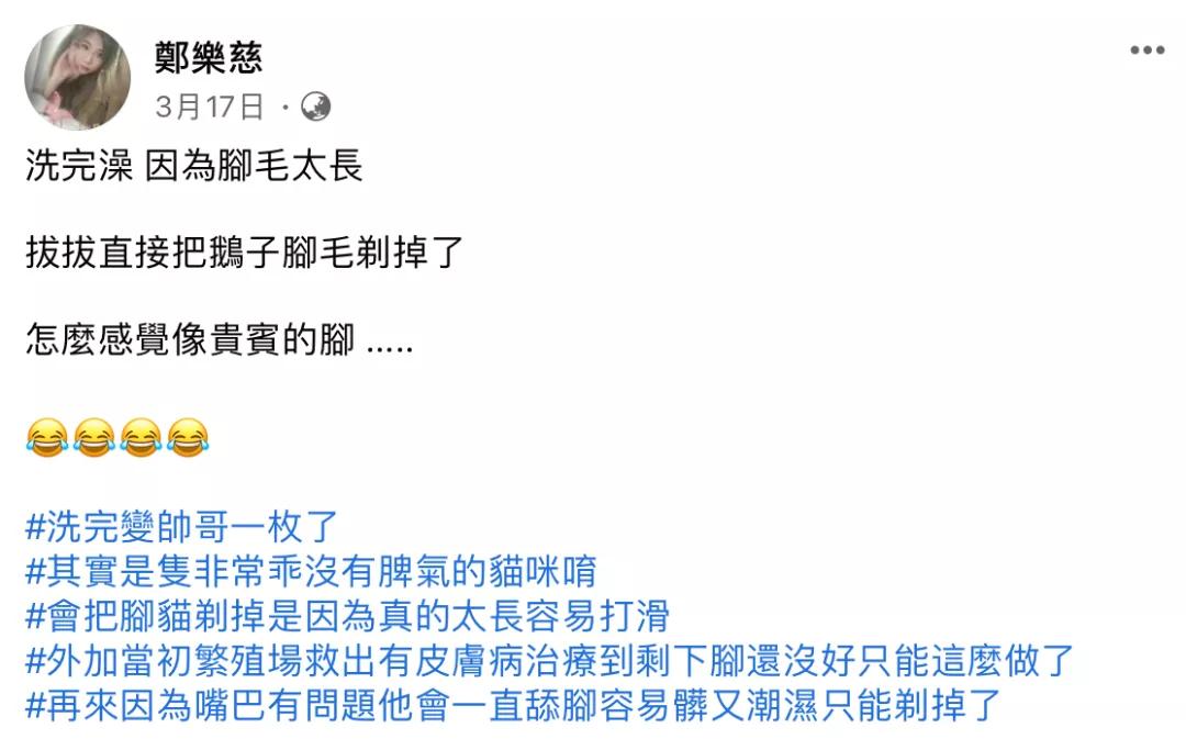 在路上捡回来的流浪猫给它洗澡,救助的流浪猫生病自己无能为力