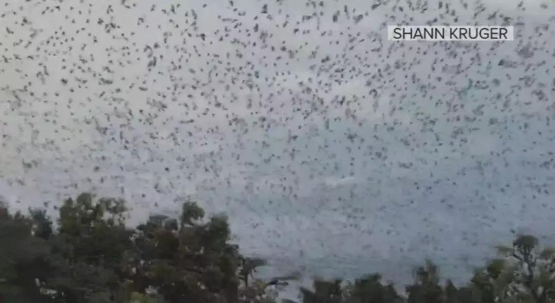 被已婚男欺骗致怀孕一尸两命,女孩儿被骗怀孕最后被杀害