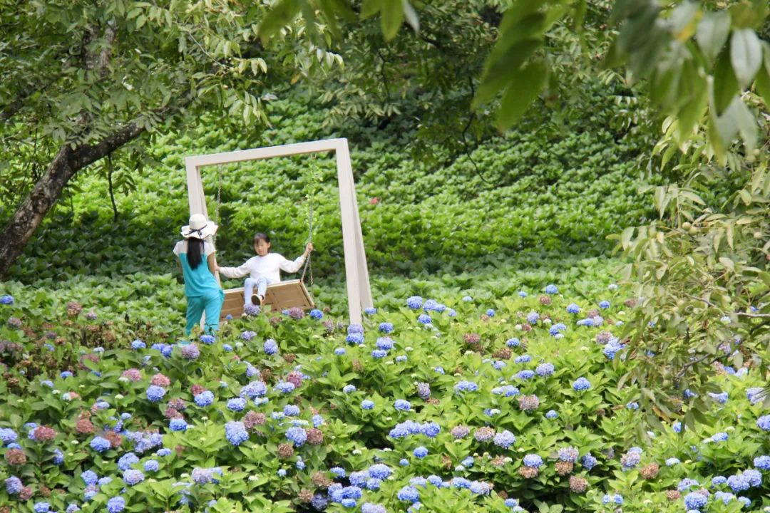 唯美景不可辜负诗词,荡秋千很美的风景