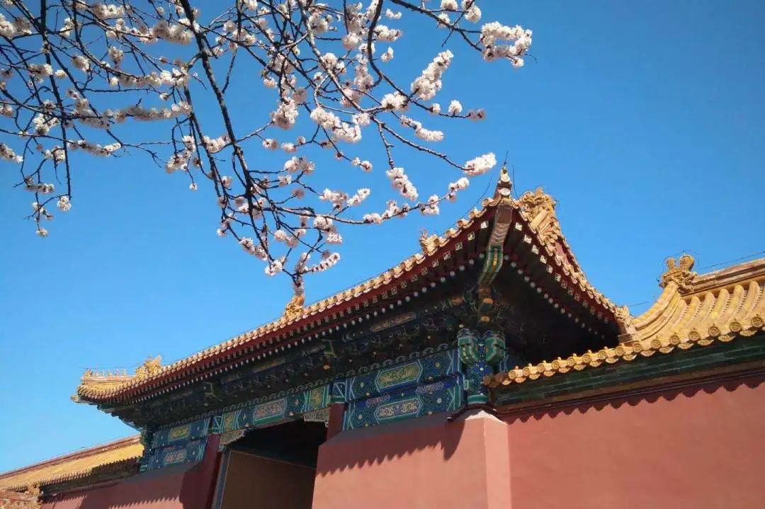 故宫游玩打卡攻略,故宫游玩攻略和注意事项