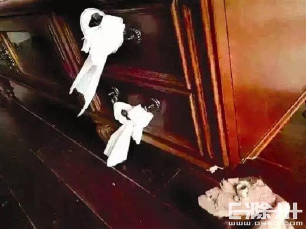 买浴室柜什么材料耐用,1000元以内的浴室柜买什么牌子