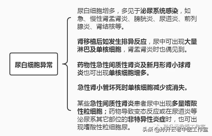 尿中怎么会有红细胞、白细胞？什么毛病？