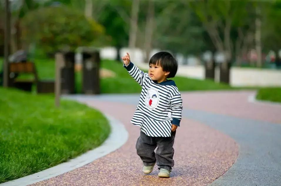 唐城墙遗址公园绿化带,唐城墙遗址公园哪个区值得去