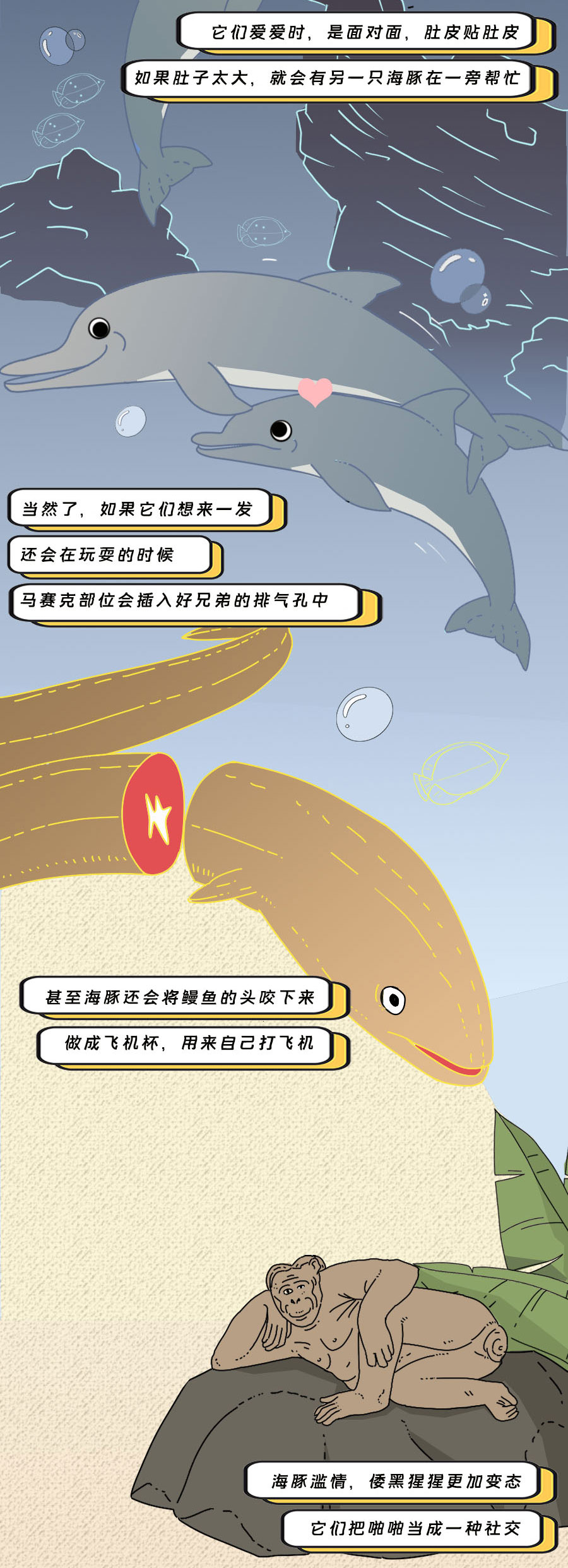 那些羞羞的事：动物是如何啪啪啪的？