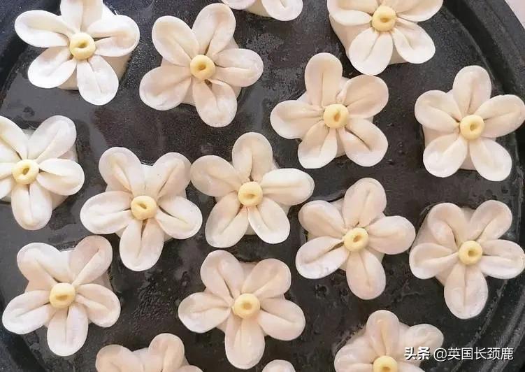 有哪些奇葩的饺子,全国奇葩美食大赏