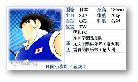 足球小将世青篇岬太郎,足球小将日向小次郎申请出战