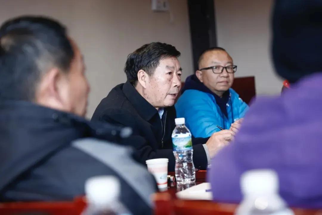 大阳深度评测,大阳解读