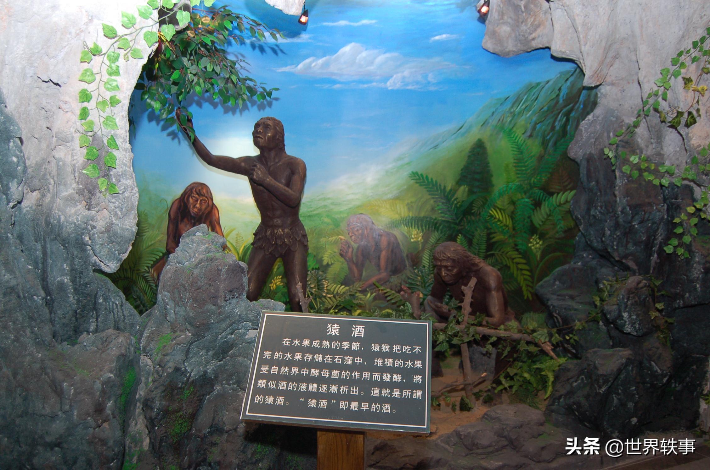 史上最全白酒酿造工艺,酿酒技术知识大全集