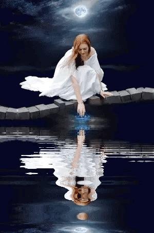 神秘的水中花,趣味神奇的水中花