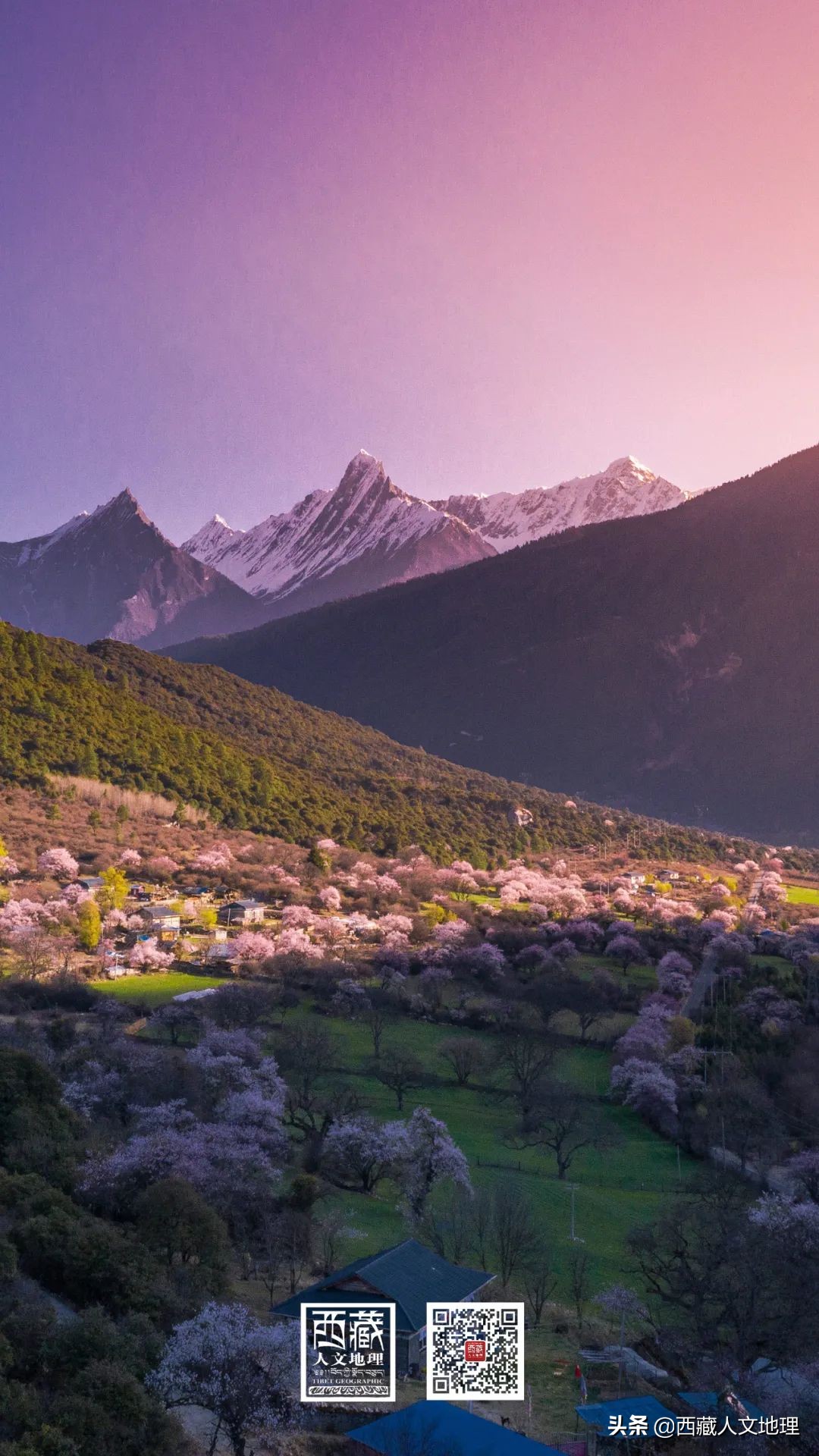 又仙气又美丽的壁纸,适合春日的绝美壁纸