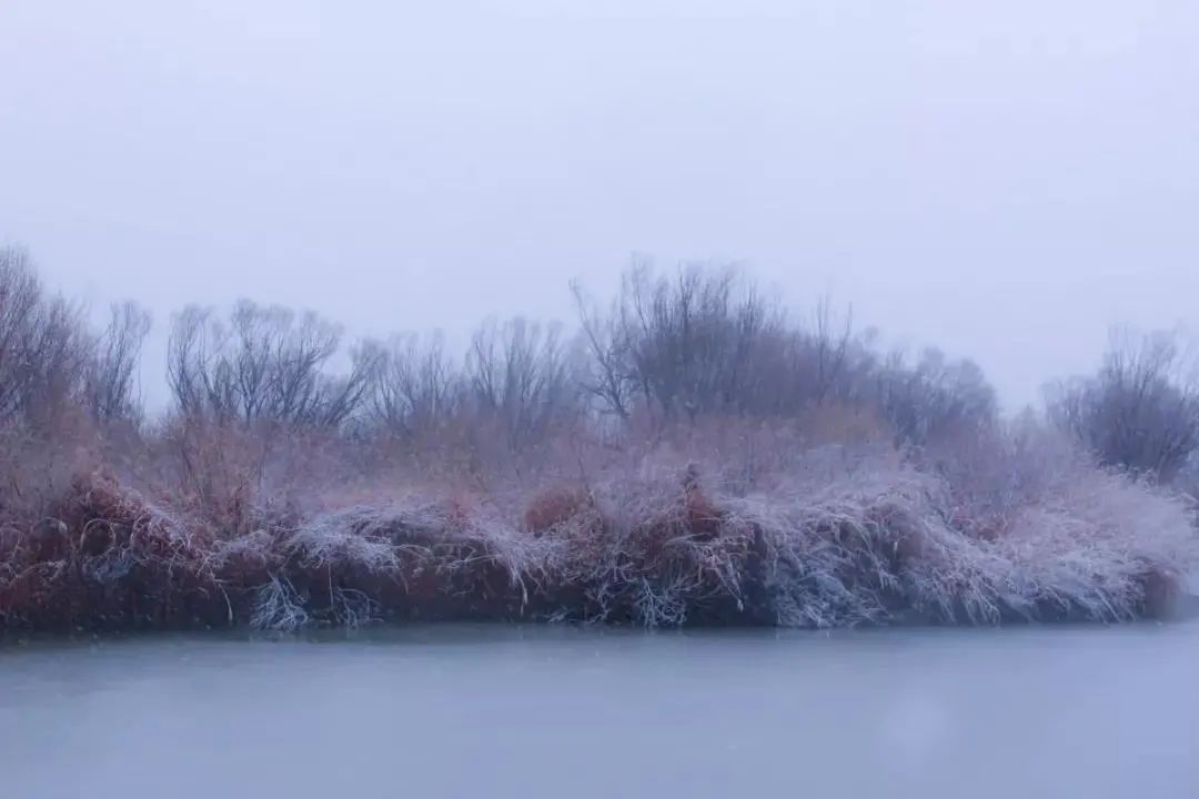 等一场雪，邂逅最美山“冬”｜冬游齐鲁