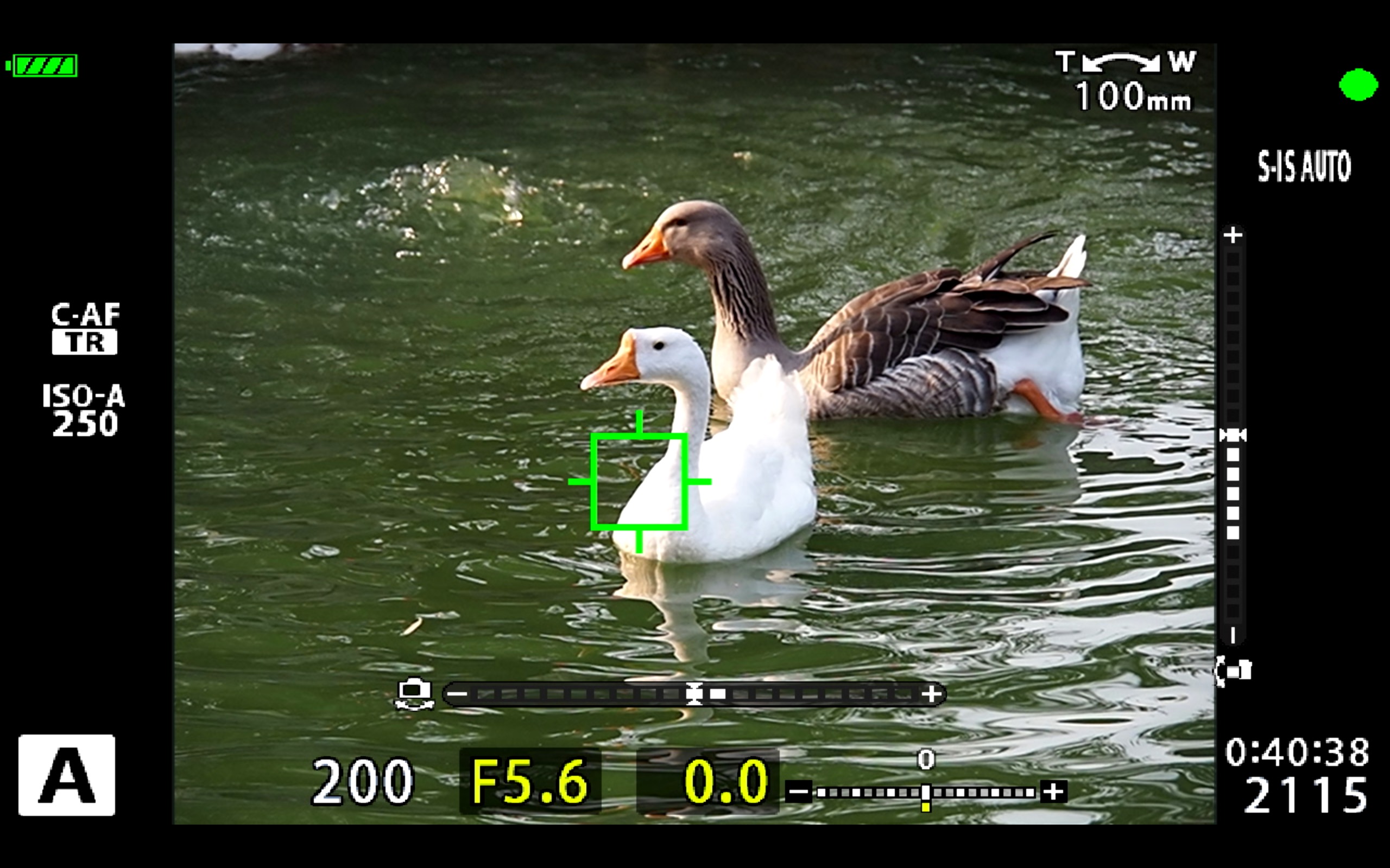 全球首测||精致全能型微单奥林巴斯E-M5MarkIII评测