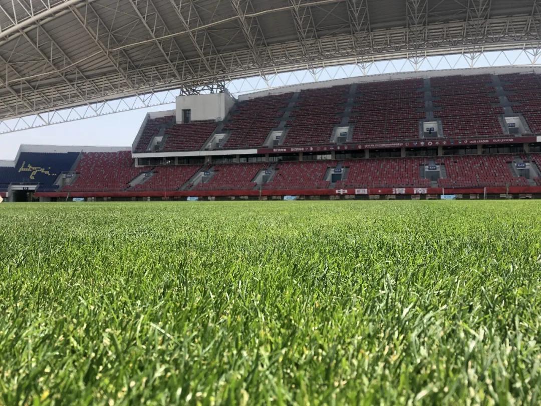 渭南建设专业足球场,渭南体育中心足球场