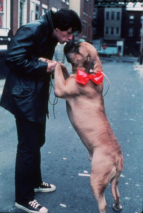 经典镜头重新剪辑的电影,十部最值得看的电影剪辑