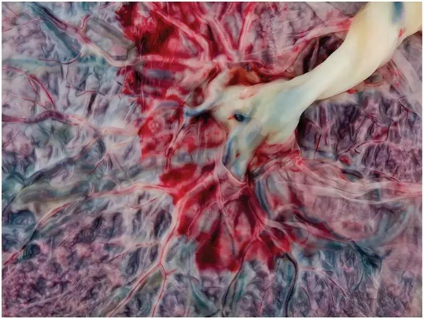 为何人类女性会来大姨妈,为什么只有人类女性有大姨妈