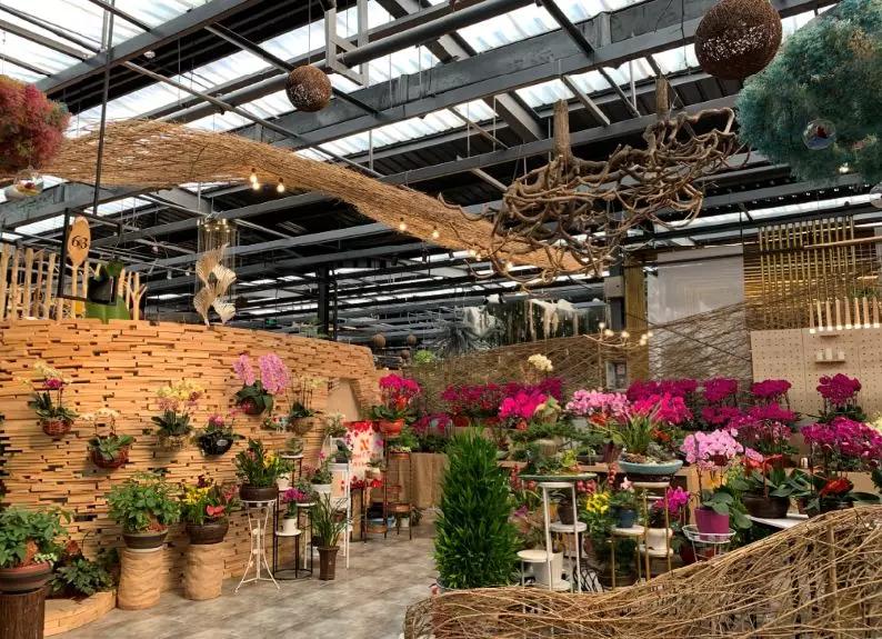 丰台四大花市在哪里,北京丰台值得逛一逛