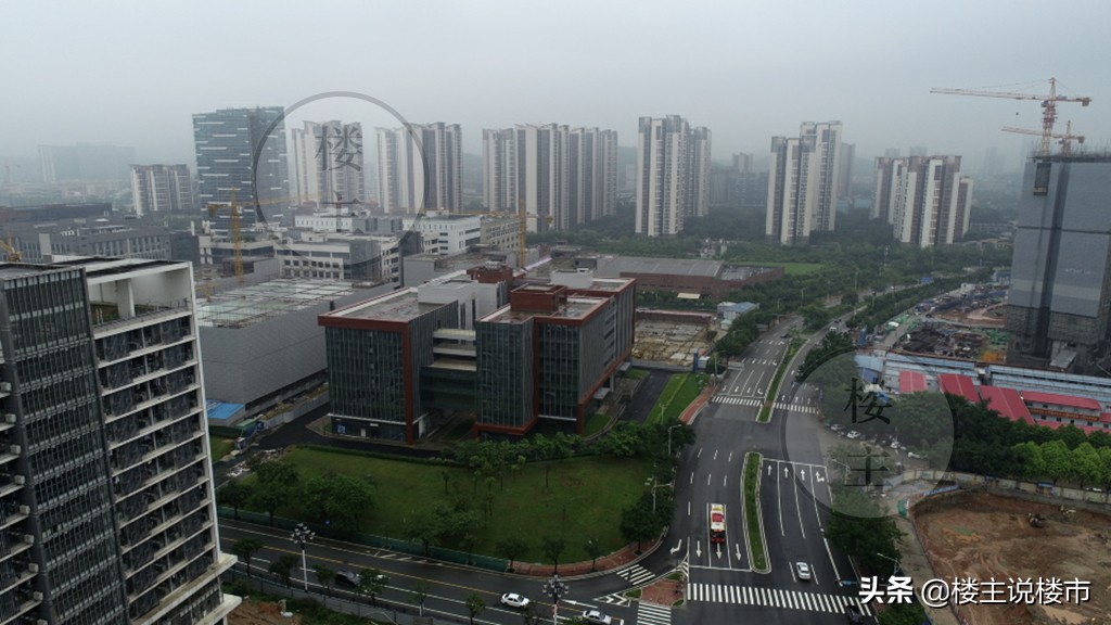 黄埔中央城楼盘讲解视频,黄埔中央城下跌多少