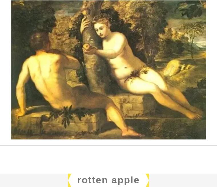 菠萝与凤梨的区别是什么,凤梨和菠萝的区别最简单的方法