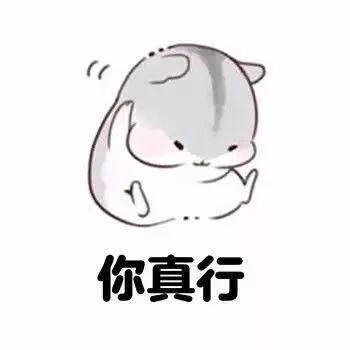 各个皆风景!红凤巢玉如意……吸睛的二青会场馆!距开幕式还有29天……